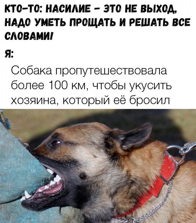 Нестандартный юмор