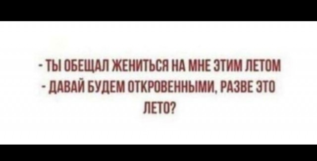 Применим физику в постели или белка и стрелка. Картинки