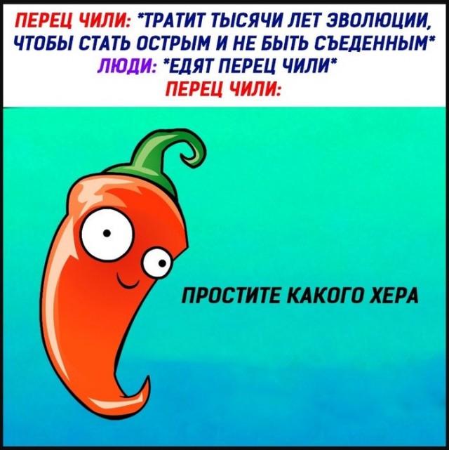 Немного картинок для настроения