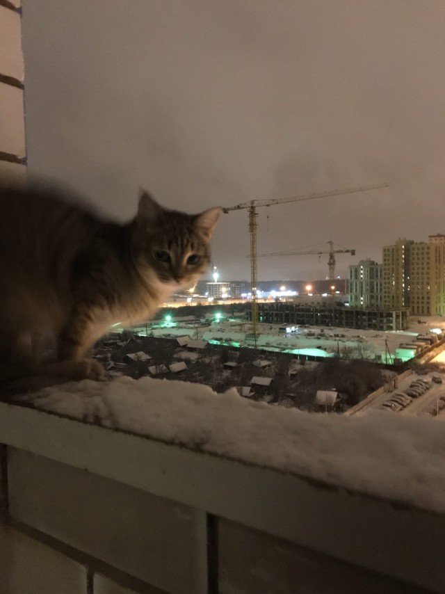 Зверушки