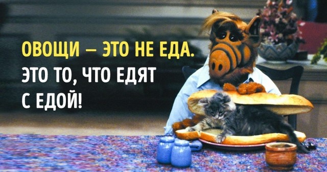 Помните сериал "Альф"? Интересные факты о легендарном ситкоме 80-х и 90-х