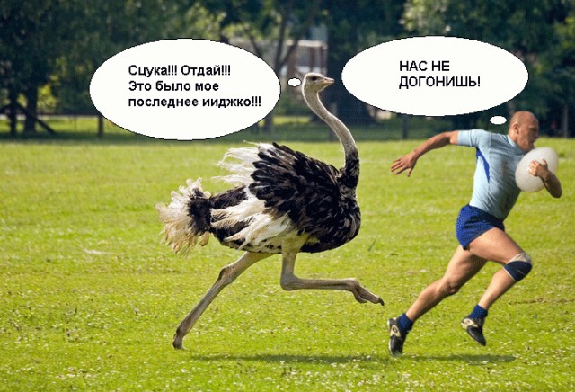 Фотожаба на пятницу