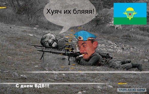 Злой кот