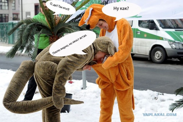 Фотожаба: А ты мальчик, или девочка?