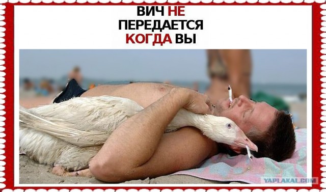 ВИЧ не передается...