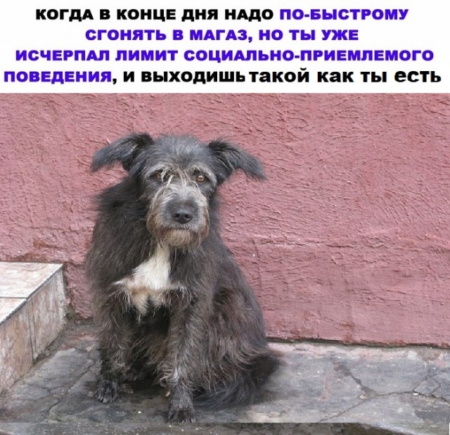 Картинки с надписями и всякие жизненные фразы 23.1.21