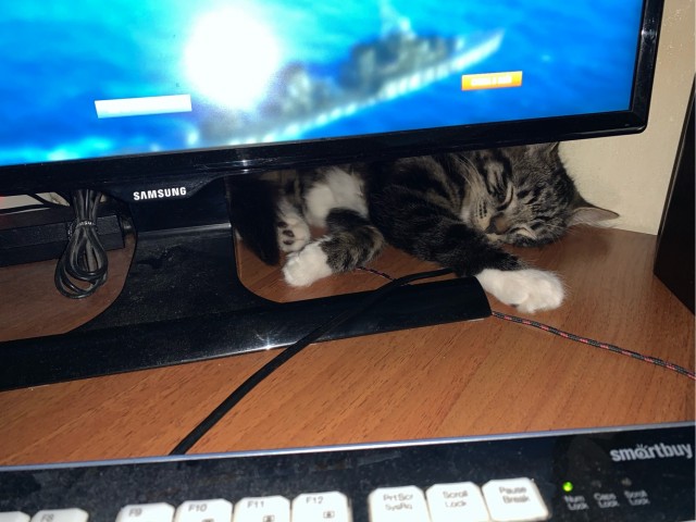 World of Warships - 9