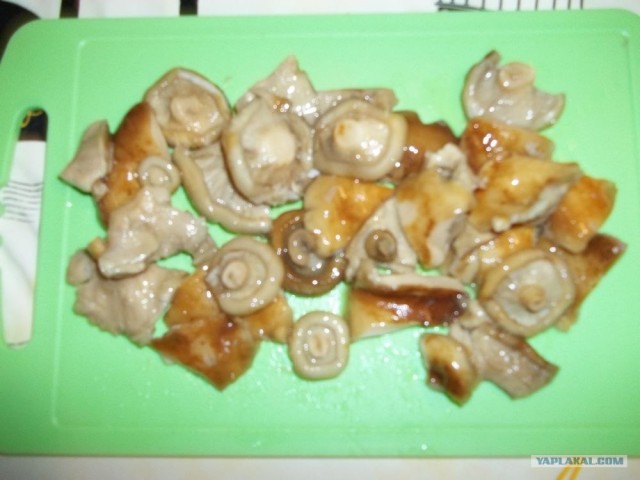 Макароны фаршированные