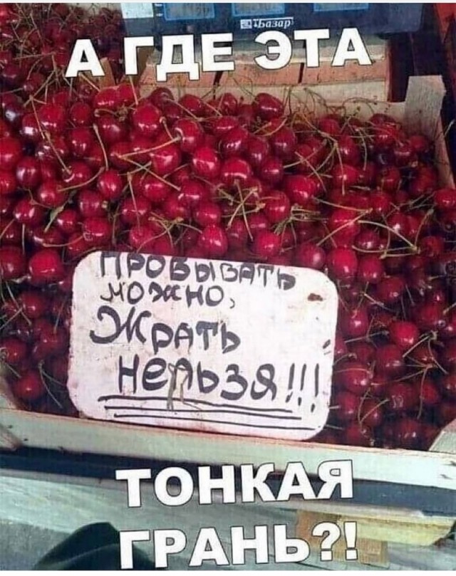 Так себе картинки 12.08.21