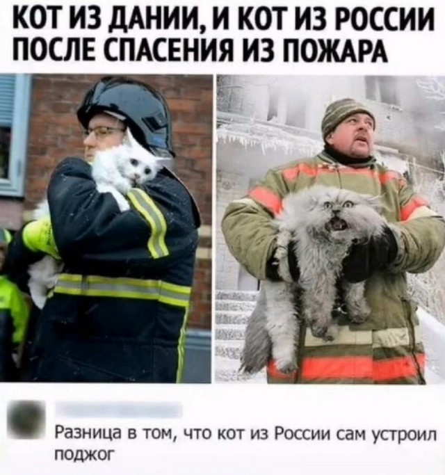 Картинки и мемы 08.10.2021