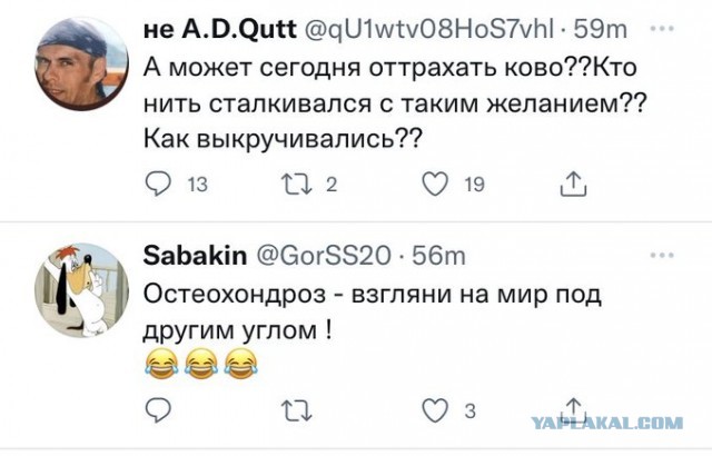 Забавные шутки, картинки и фразы из этих ваших интернетов 27.10.2021