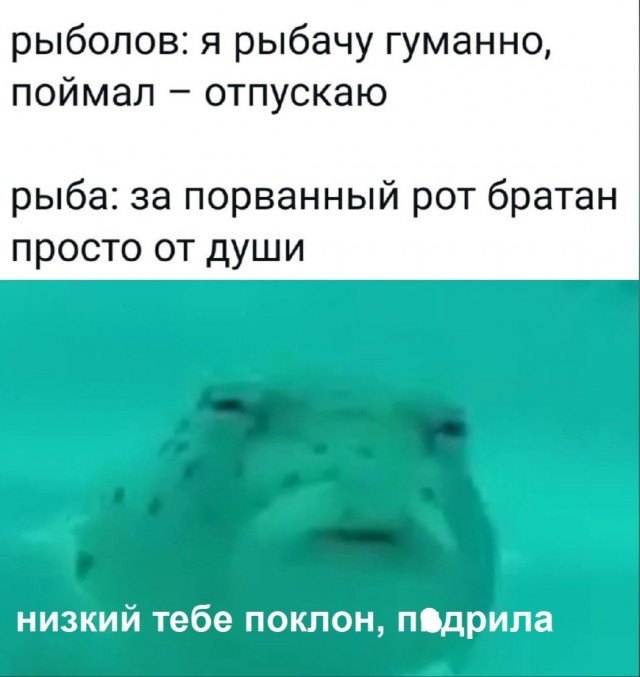 Баяны бабыЯны