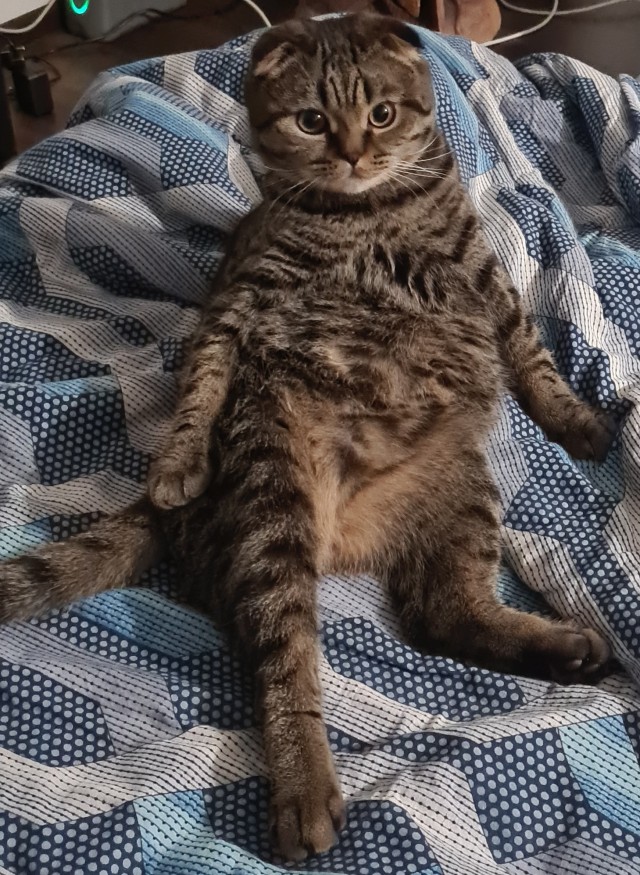 Котательная сводка за пять минут