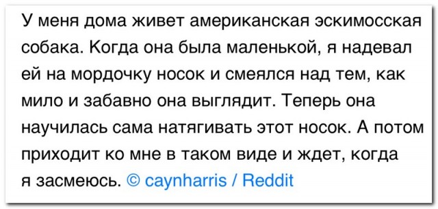 Забавные комментарии из социальных сетей (10.05.22)
