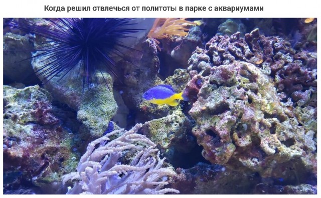 Картинки и мемы для настроения - 29