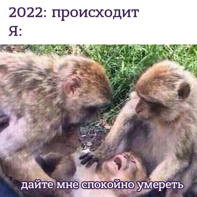 Про оспу обезьян