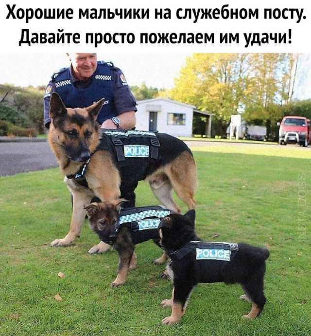 Картинки и мемы для настроения - 21