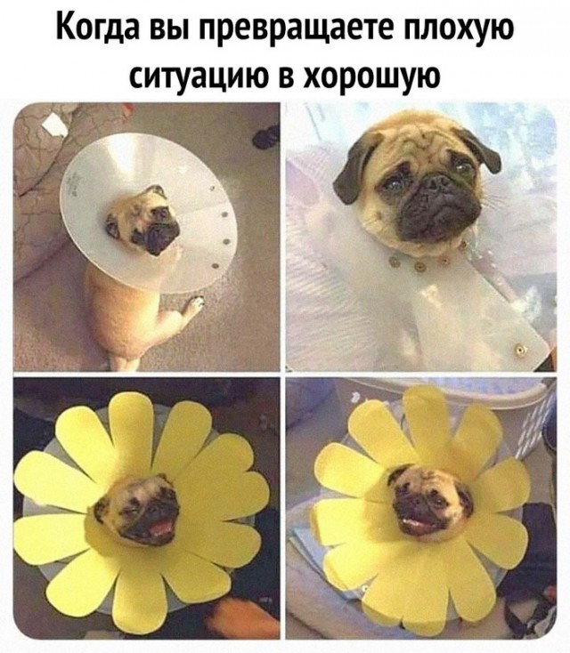 Немного картинок для настроения - 112