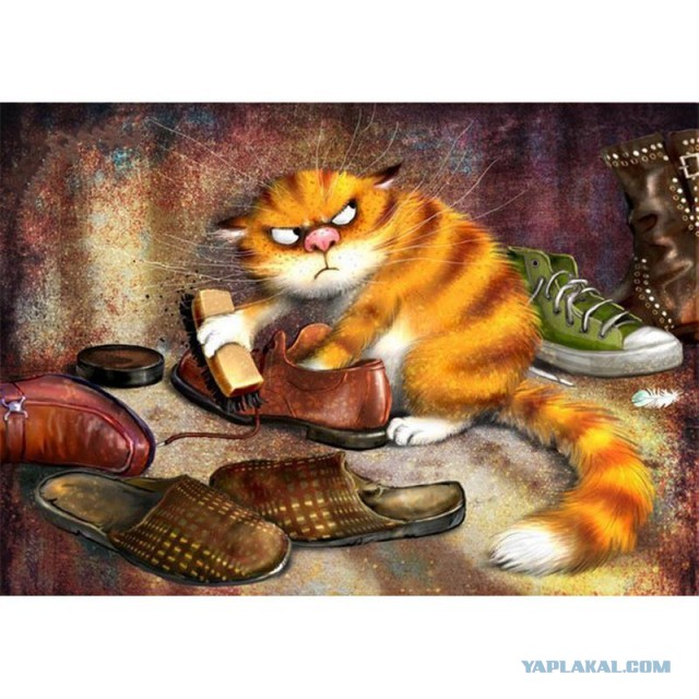 Короче, поступила как мужик