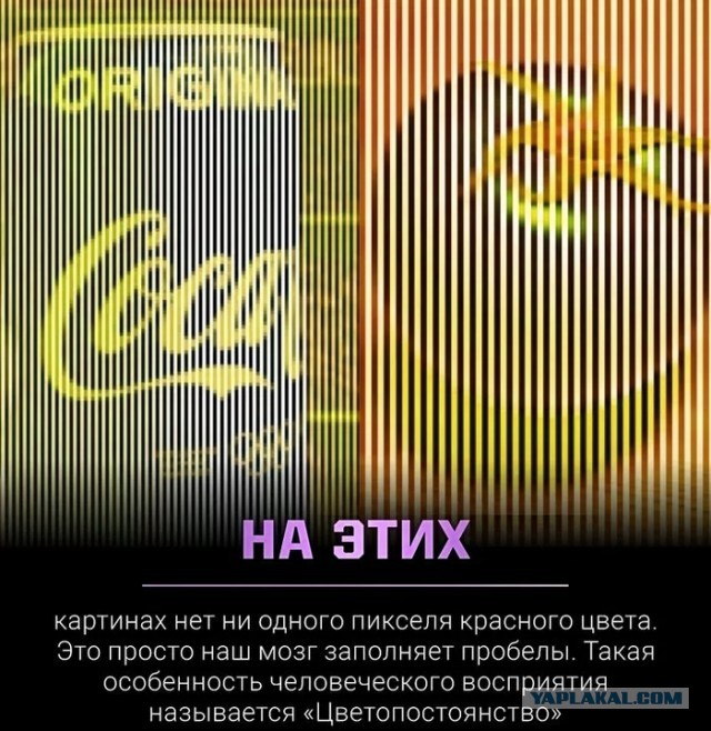 Антидальтоническая картинка