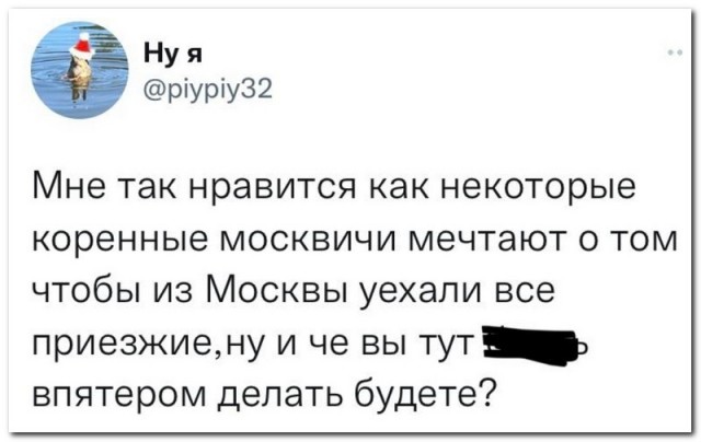 Забавные комментарии из социальных сетей (06.02.23)