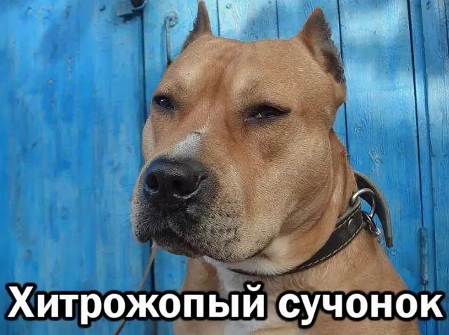 Велосипедист-транс выиграл женскую гонку с колоссальным отрывом и забрал $5 000 призовых