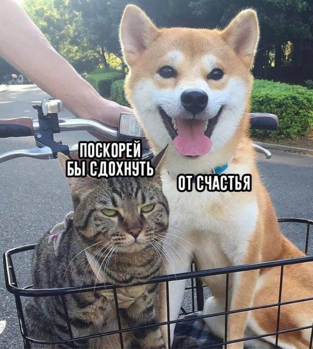 Восьмая подборка самых баянистых баянов! Ностальгируем...