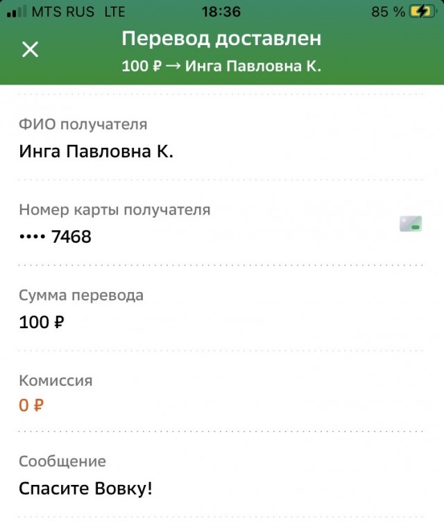 Этого кота зовут Вова, и его в тяжелом состоянии забрали у хозяев-алкоголиков.