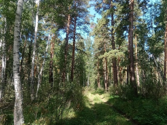 Перекличка грибников