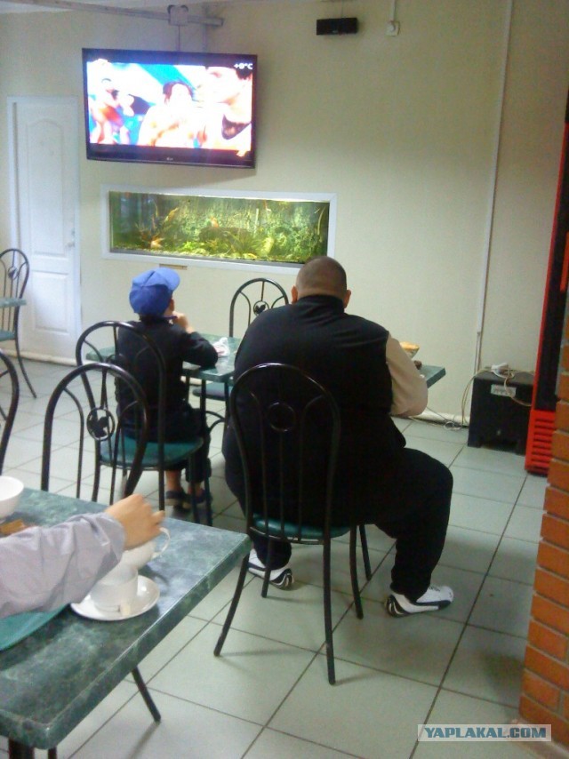 Почистил телефон