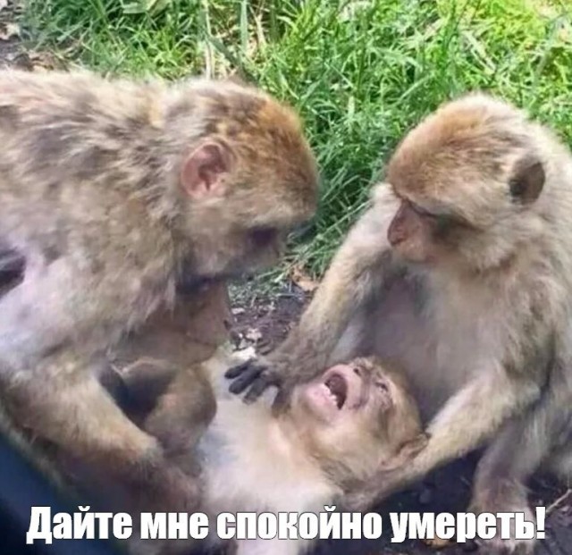 УАЗ готовится к обновлению модельного ряда