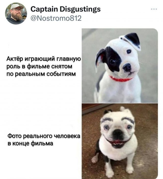 Никакие картинки