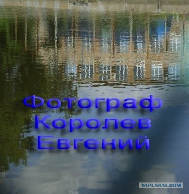 Настоящий мужик