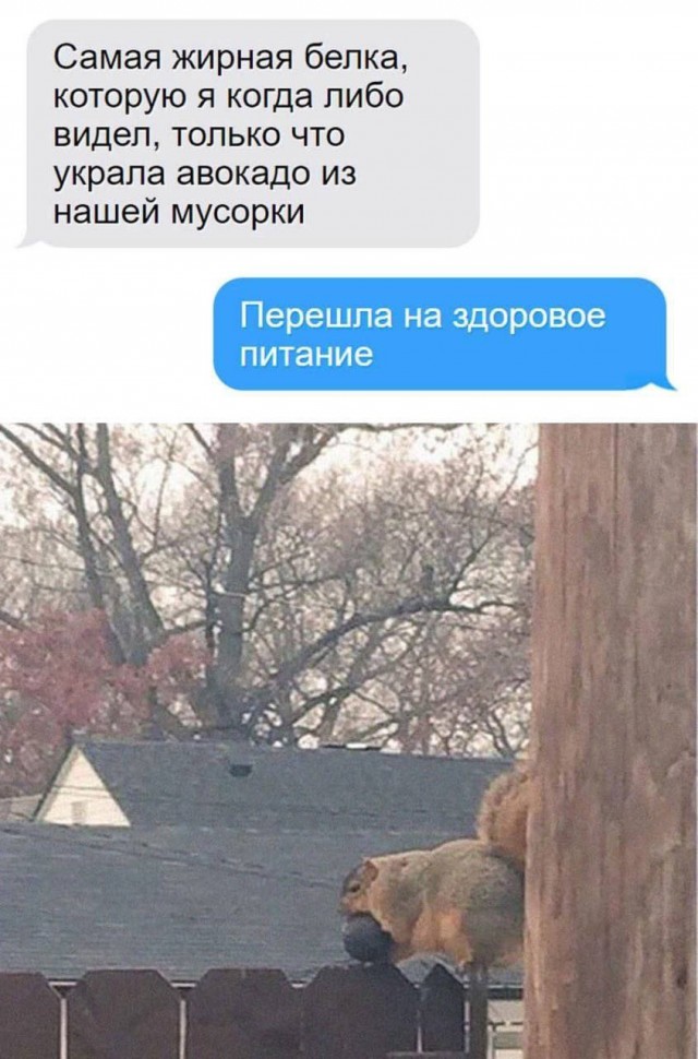 Завалялось тут случайно немного забавных картинок