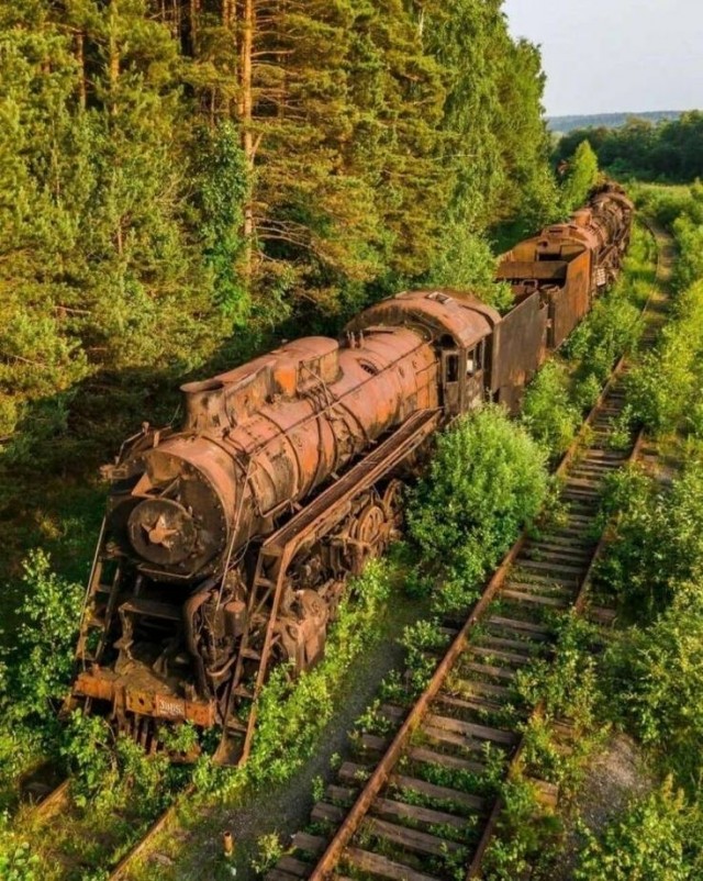 Зелёная тема