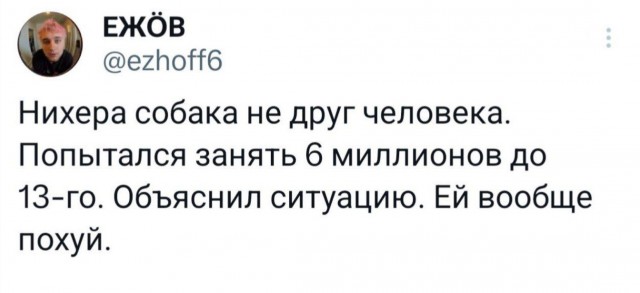 Немного забавных картинок от 13.10.2024