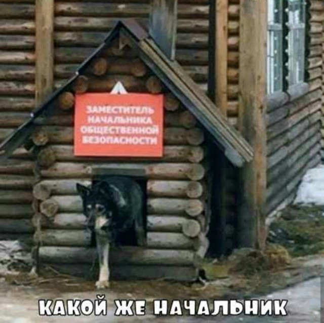 Так себе картинки 23.10.24