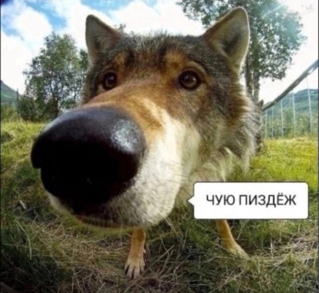 Китаец обнаружил, что в его доме 7 лет в подвале жил бывший владелец