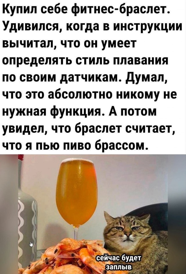 Так себе картинки 19.02.25