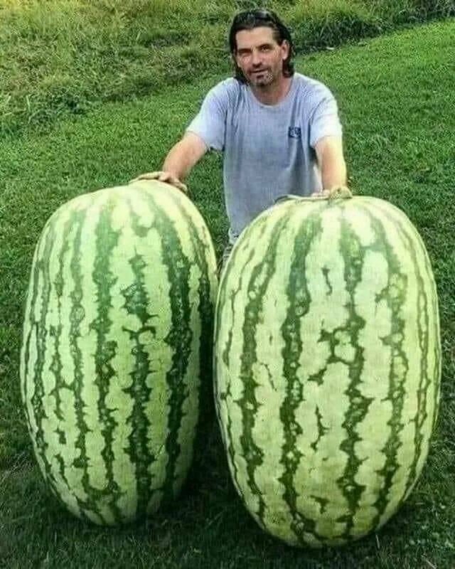 Опять ассортишечка из картиночек уже по маю