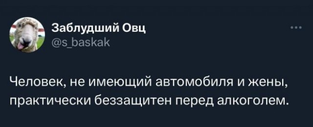 Веселые картинки в маленькую пятницу (21.05)