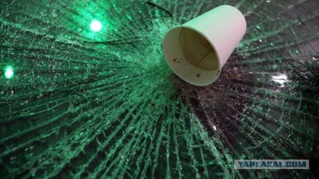 Журналистка из Австралии получила резиновую пулю в ногу во время прямого включения в Лос-Анджелесе