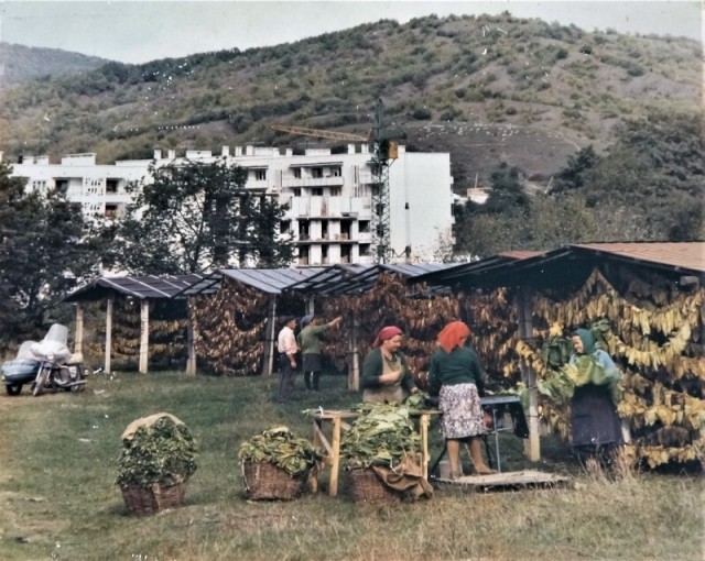 ​ Фотографии из прошлого нашей страны – 110