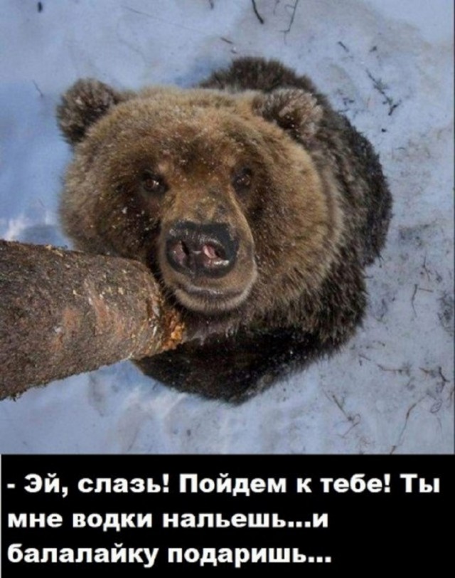 Нуштош 04.07.2025. Обитатели обители теней (s4e2)