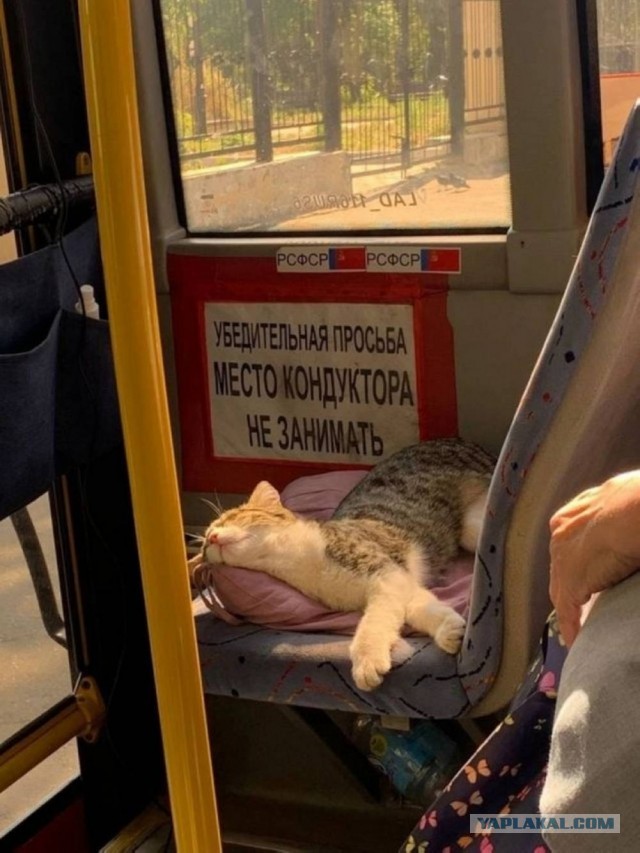 Пост с картинками.