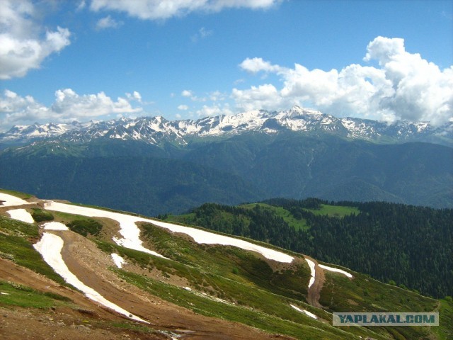 Отпуск в Сочи