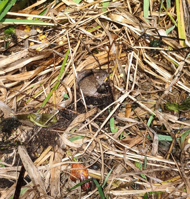Рыбалка на реке Березина. Беларусь