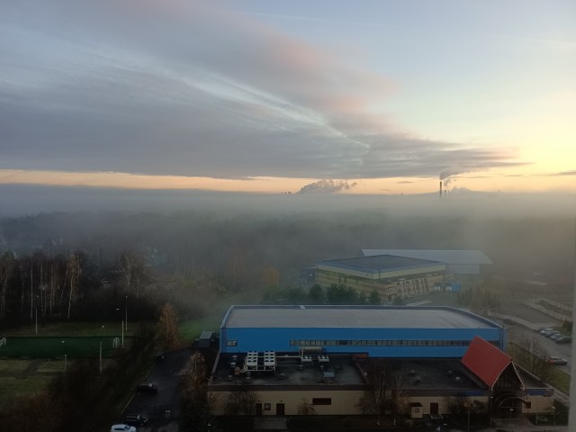 Красота