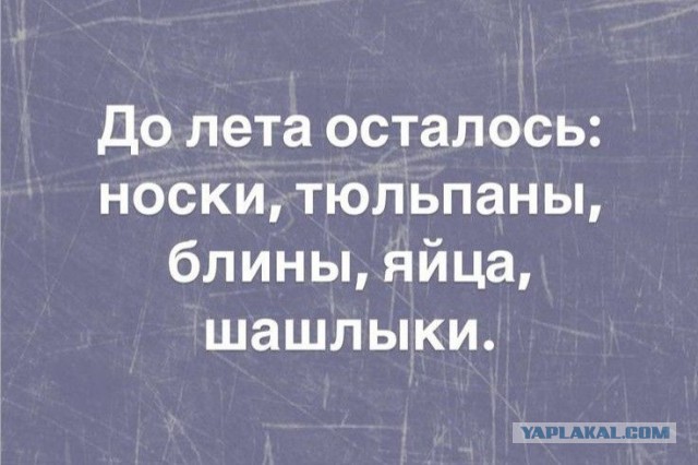 Наскрёб с древней флешки картинки.