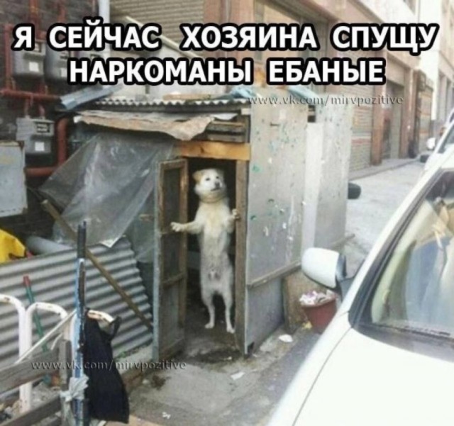 Антарктида — это гигантская ледяная преграда, которая защищает наш мир, словно заповедник.